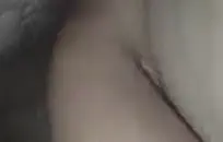 كتمب سكس رجل ينيك حيوانات قطط في كسها