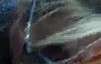 مص ديك للحصول على امرأة سمراء في الحمام بينما كان يلعب مع نائب الرئيس