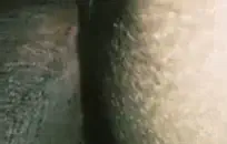 شاب أسود في سن المراهقة يلعب مع صاحب الديك.