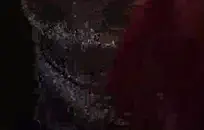 تتمتع السمراوات مفلس ومفلس بجلسة اللعنة الحسية.