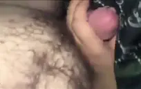 الحمار الداعر ، موانئ دبي ونائب الرئيس في الفم.