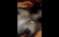 نائب الرئيس ضخمة وشخ بينما أنا بخ ونائب الرئيس.