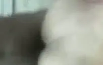 كومينغ في الفندق بعد العمل. نائب الرئيس على الثدي بلدي بعد العمل.