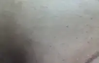 لا أستطيع التوقف عن ممارسة الجنس أفضل أصدقاء زوجتي لديهم قضيب كبير.