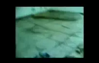 خنثي في ​​سن المراهقة وقحة مارس الجنس اسلوب هزلي.