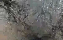 سيئة في سن المراهقة وقحة يأخذ بي بي سي طلقات العودة.