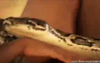 يحصل مارس الجنس بلدي الخطوة مثير أمي من قبل أفضل أصدقائي.