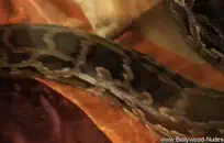 مص قضيبه قبل أن أذهب إلى المدرسة.