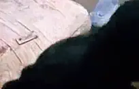 قرنية جبهة تحرير مورو الإسلامية كاترين عبر يلعب مع لعبة لها.