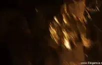 أفضل فيديو في كل العصور.