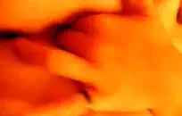 مثير كبير دسار الشرج دسار ونائب الرئيس اللسان في الفم.