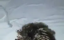 استمني على سريري في منتصف الليل.