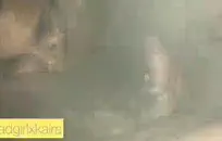 زوجان شابان يمارسان الجنس في الشرفة.