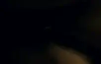 الشباب المتحررون هم ثعالب مراهقة يجربون حركاتهم الإباحية الأولى