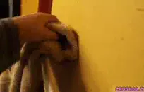 يحصل creampied كس صديقتي بينما أنا يمارس الجنس معها.